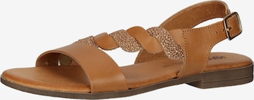 IGI&CO Strap Sandals in Brown: front