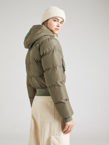 Superdry Tussenjas in Groen