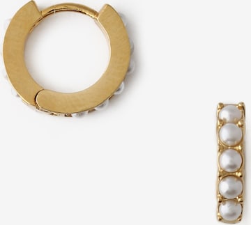 Orelia Earrings in Gold: front