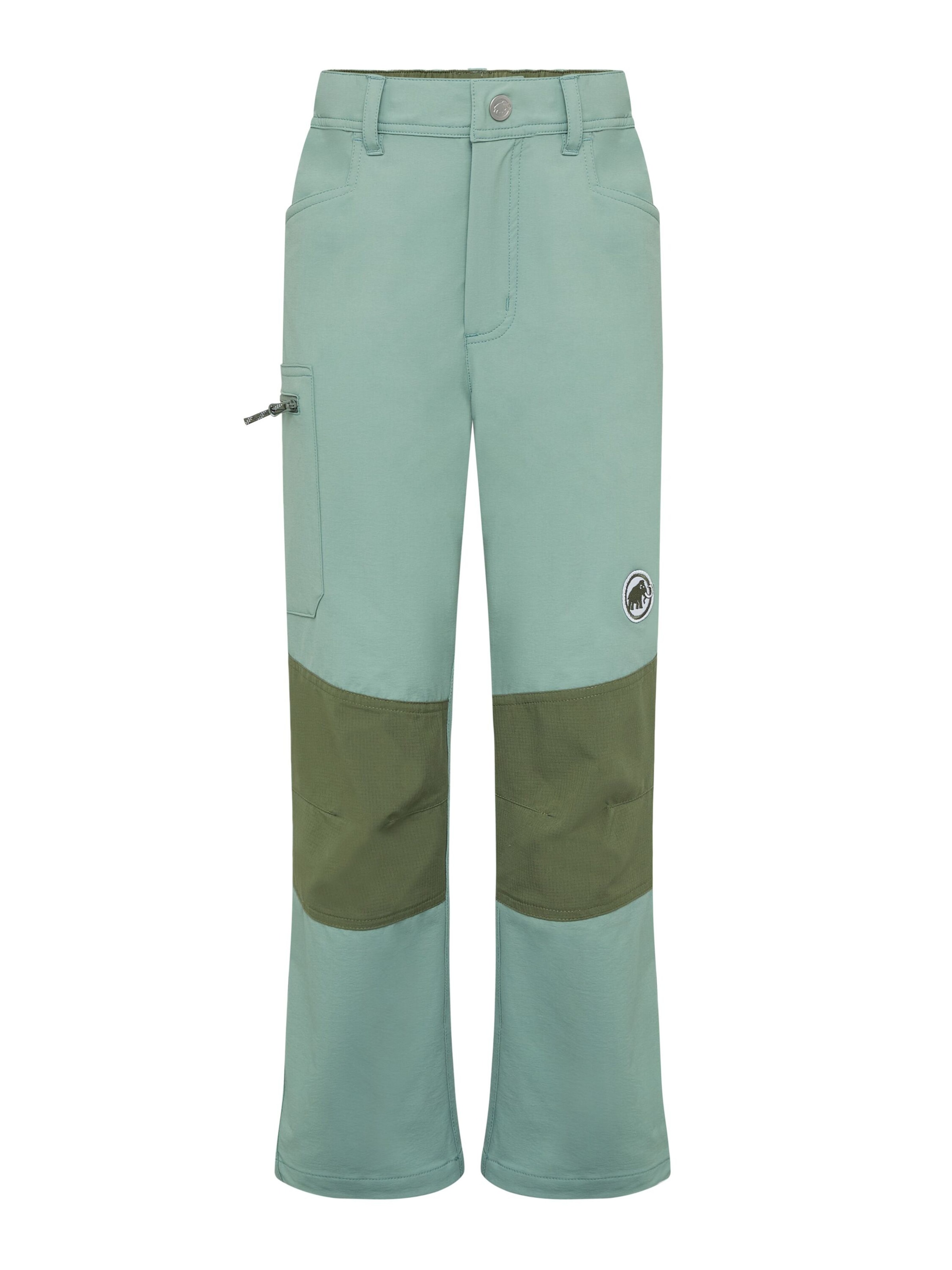 MAMMUT Regular Outdoor Pants 'Taiss' in Green: front