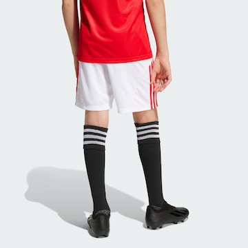 ADIDAS PERFORMANCE Regular Sports trousers 'Benfica Lissabon 25/26' in White