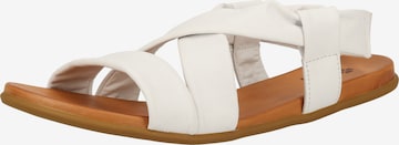 ILC Sandals in White: front