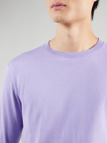 Pullover di Polo Ralph Lauren in lilla
