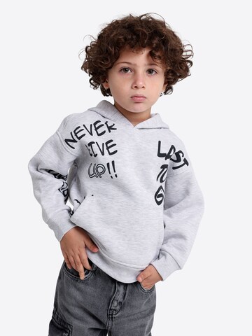 Solang Sweatshirt in Grijs