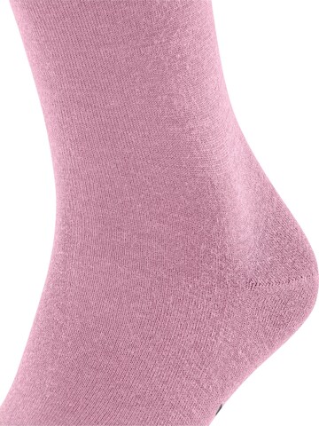 FALKE Knee High Socks 'Airport' in Pink