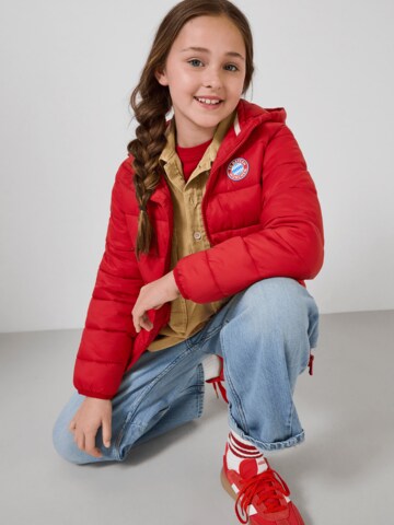 FC BAYERN MÜNCHEN Between-Season Jacket in Red
