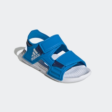 ADIDAS SPORTSWEAR Plážová/koupací obuv 'Altaswim' – modrá