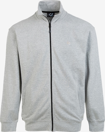 Cruz Zip-Up Hoodie 'Pitt' in Grey: front