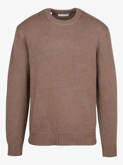 SELECTED Pull-over en marron, Vue avec produit