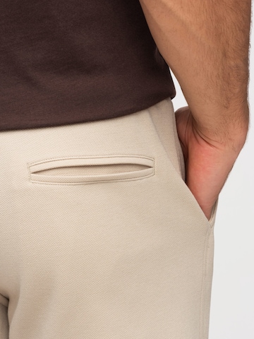 Ombre Regular Pants in Beige