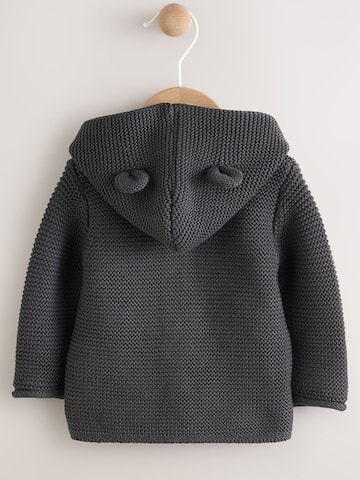 Next Gebreid vest in Grijs