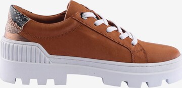 D.MoRo Shoes Sneakers 'Zerosix' in Brown