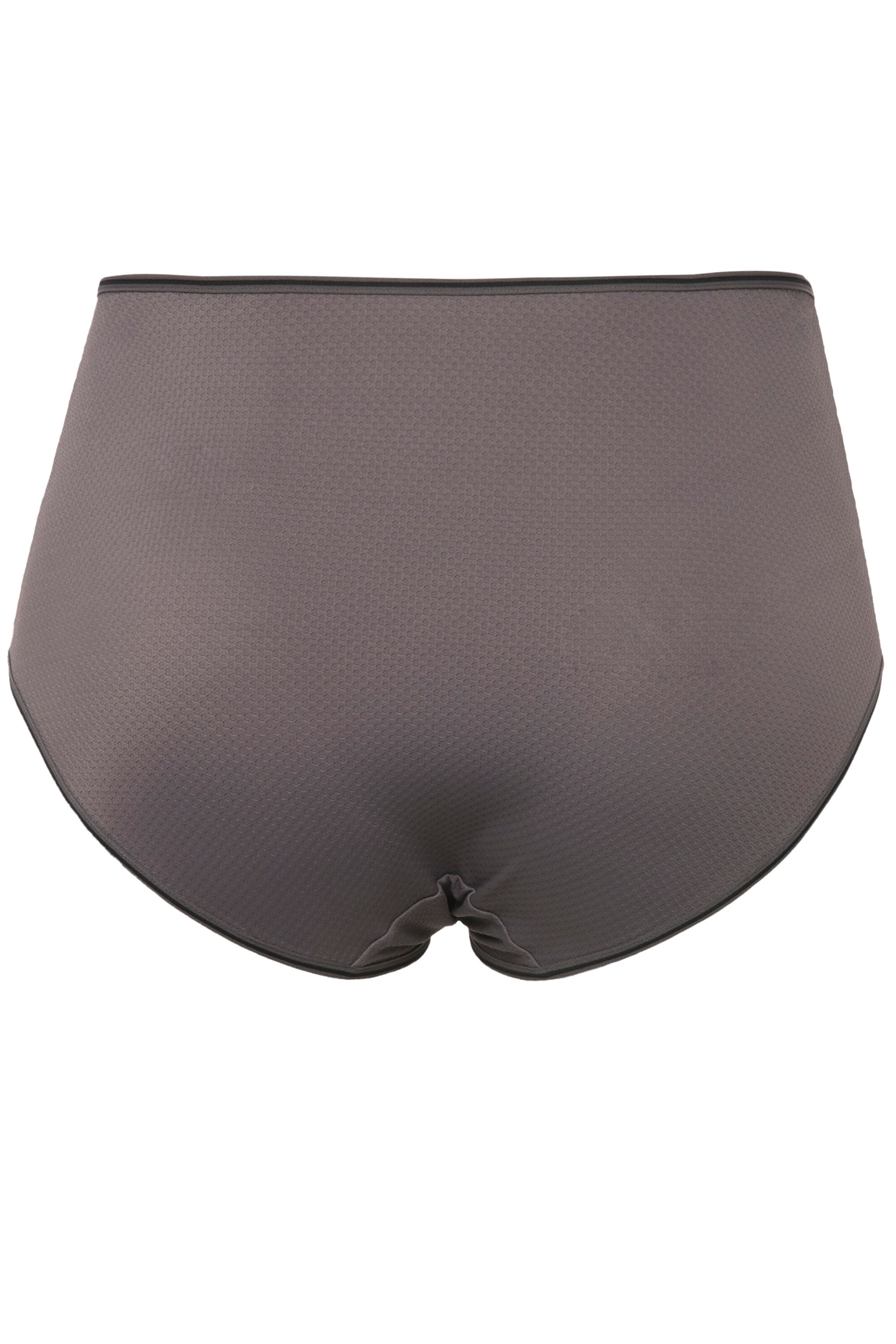 Ulla Popken Slip in Grau