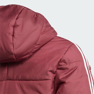 ADIDAS ORIGINALS Winter Jacket 'Adicolor' in Red