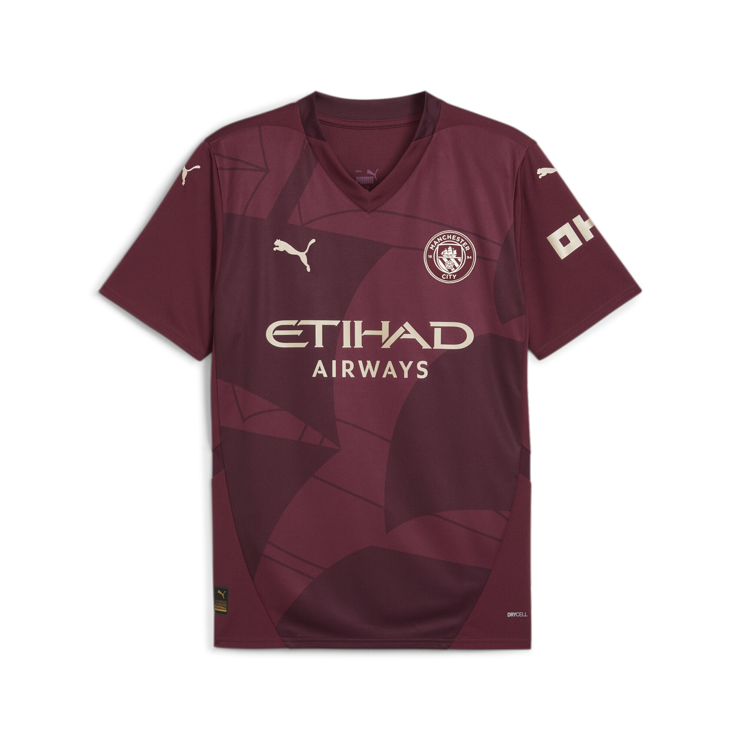 PUMA Trikot 'Manchester City' in Lila: Vorderseite