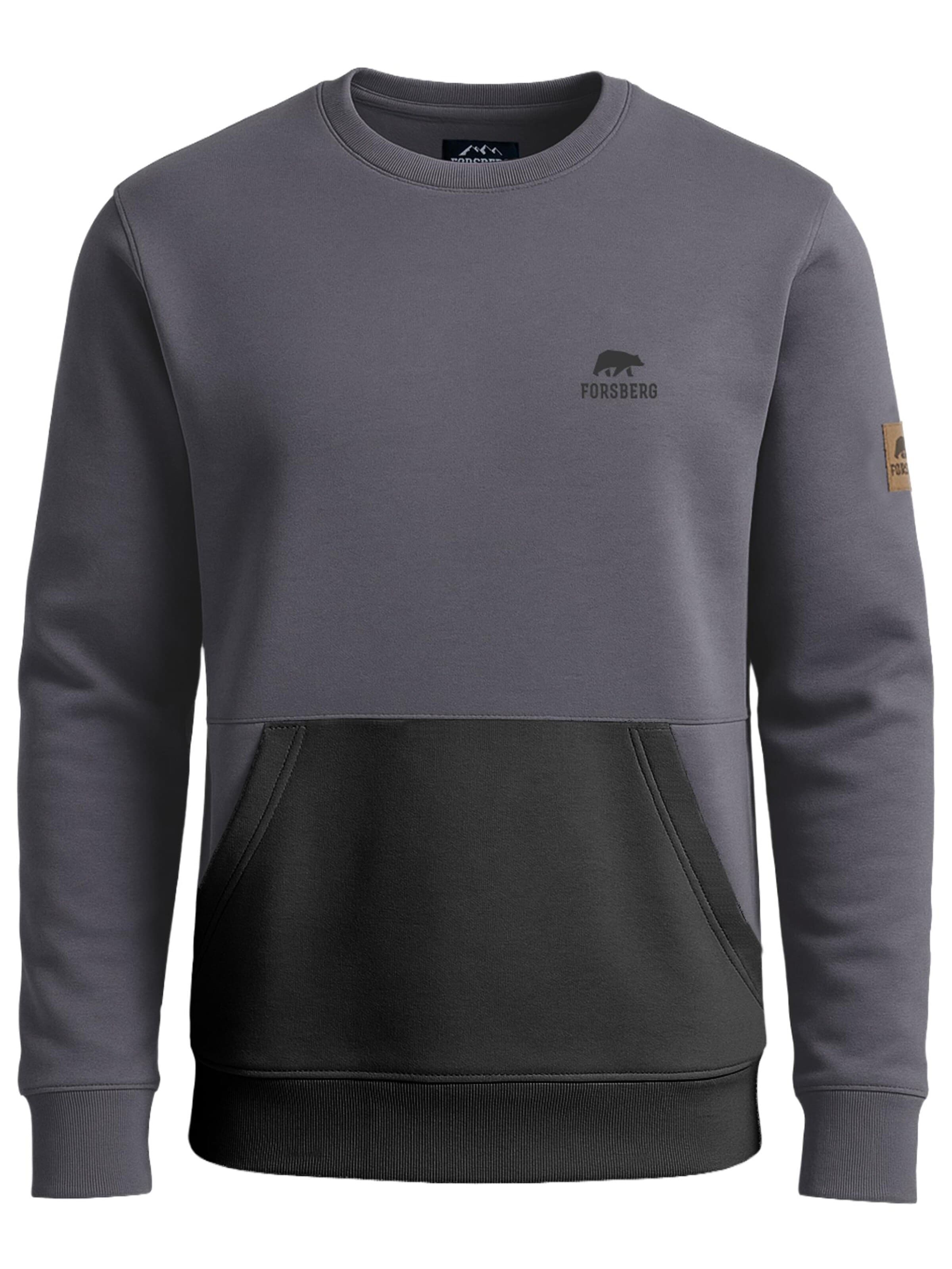 FORSBERG Sweatshirt 'Alvarson Sweatshirt' in Grey: front