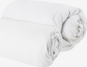 Aspero Blankets in White: front