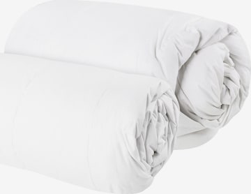 Aspero Blankets in White: front