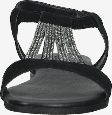 IGI&CO Sandalen met riem in Zwart