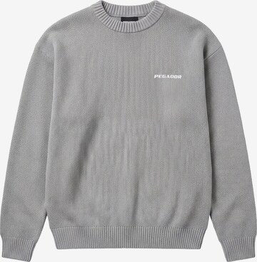 Pegador - Jersey en gris: frente