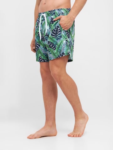 TOOche Board Shorts 'Lugano' in Green