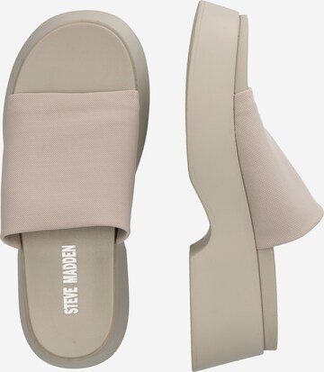 Zoccoletto di STEVE MADDEN in grigio