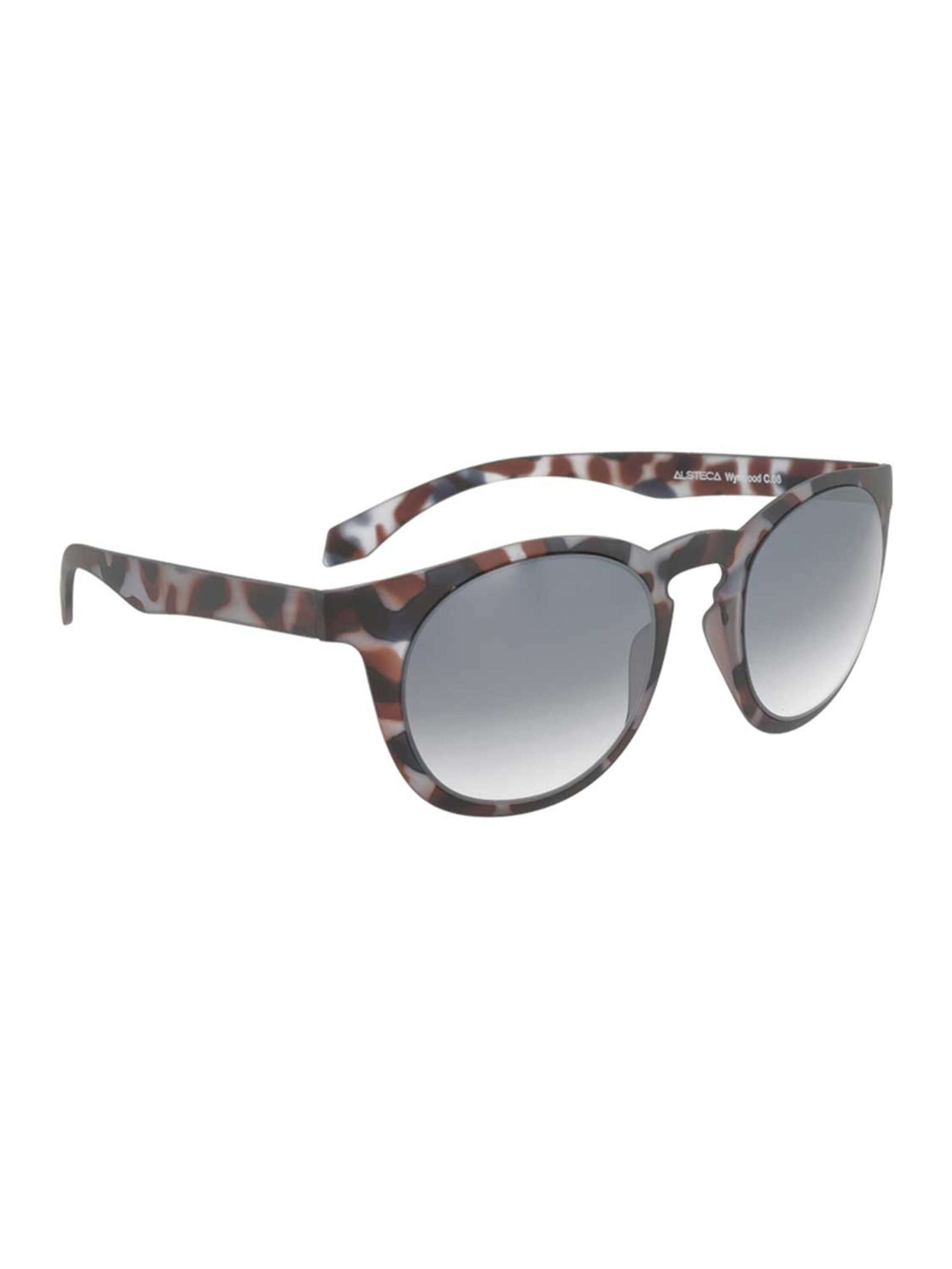 Alsteca Zonnebril 'Wynwood C08' in Bruin