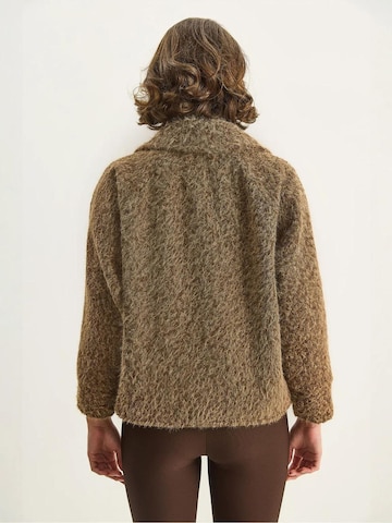 Bianco Lucci Between-seasons coat 'Mäntel' in Brown