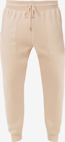 Jimmy Sanders Tapered Sweathose in Beige: predná strana