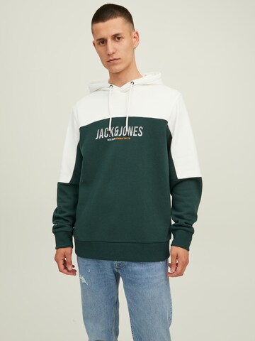 JACK & JONES Sweatshirt 'Dan' in Green: front