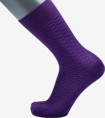 BGents Socks in Purple: front