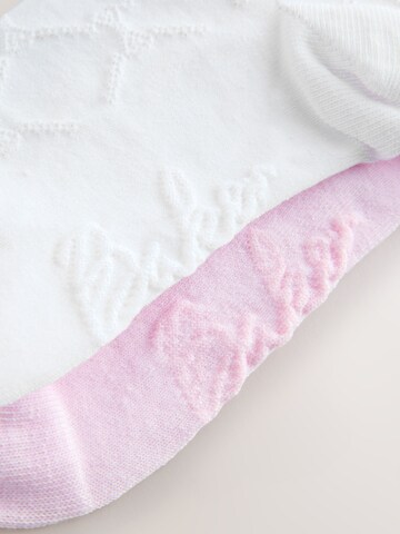 Baker by Ted Baker Socks in Pink