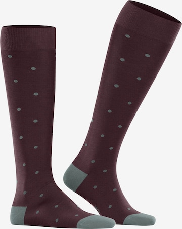 FALKE Knee High Socks 'Dot' in Red: front