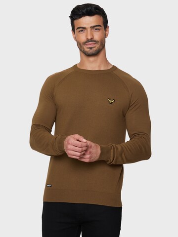 Threadbare Sweater 'Maned' in Brown: front