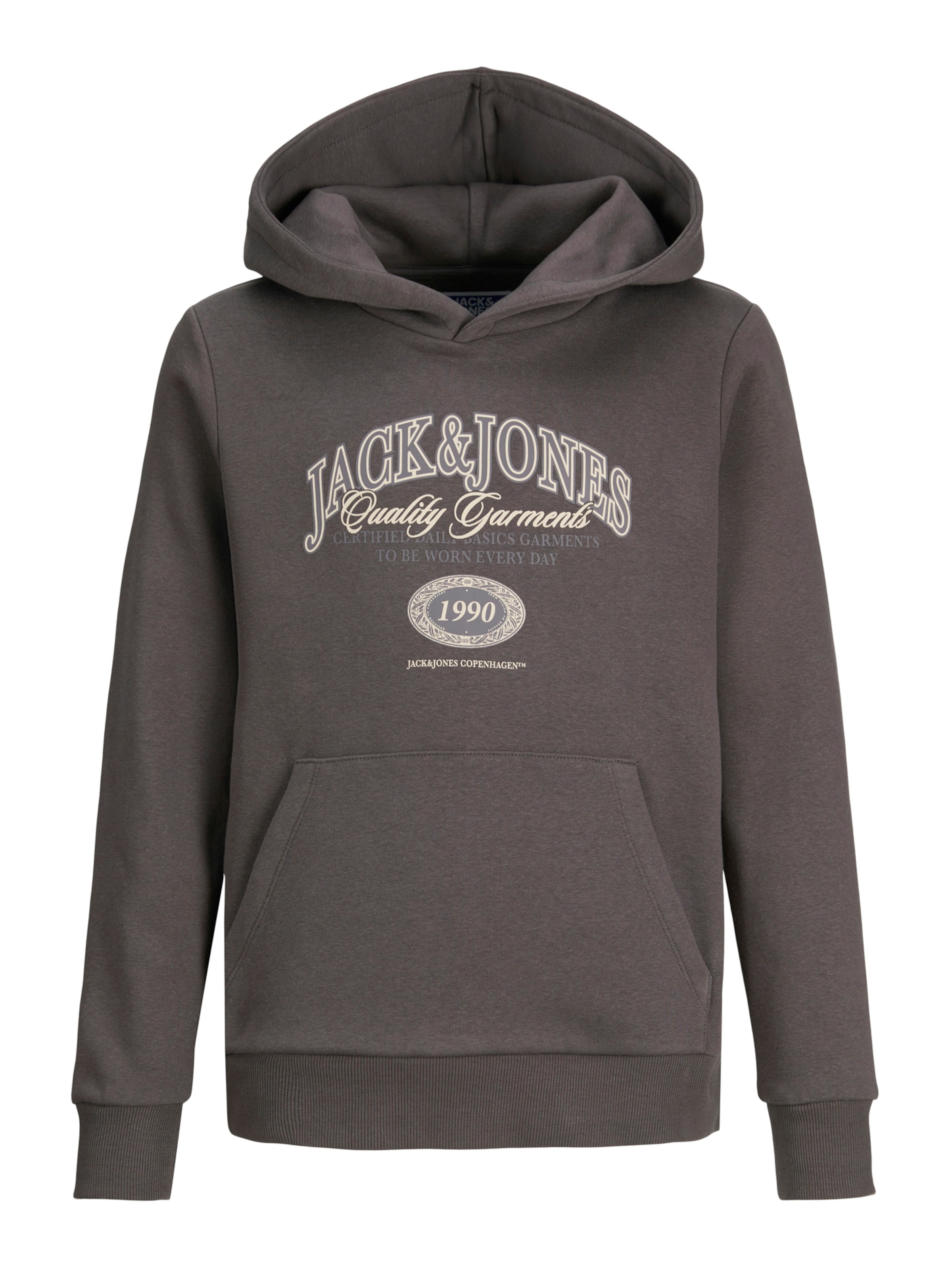 Jack & Jones JuniorSweater majica 'JJARI' - siva boja: prednji dio