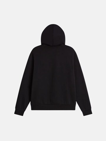 THE NORTH FACE - Sudadera 'THE NORTH FACE W EVO SD REG HOODIE Maglieria' en negro