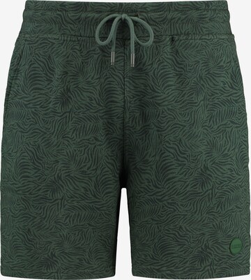 Shiwi Regular Broek in Groen: voorkant