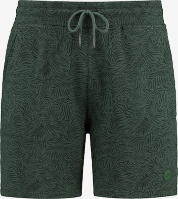 Shiwi Regular Pants in Green: front