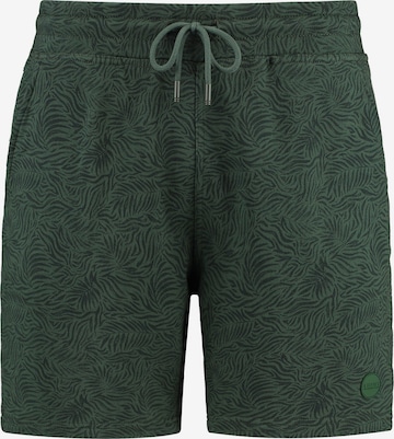 Regular Pantalon Shiwi en vert : devant