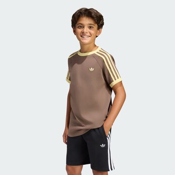 ADIDAS ORIGINALS T-Shirt in Braun: Vorderseite