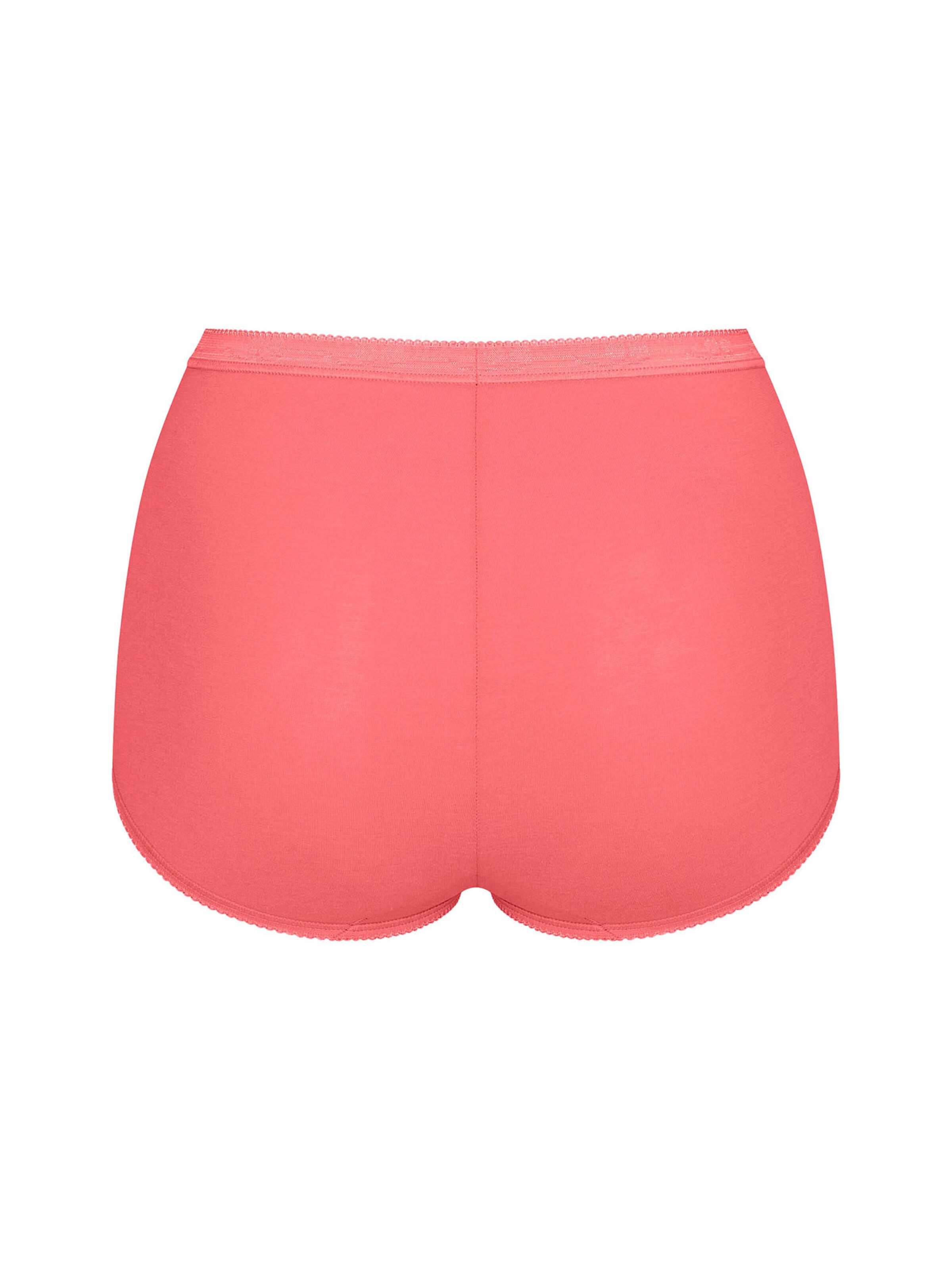 SLOGGI Slip ' Originals Basic ' in Beige