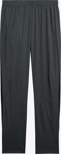 4F Спортен панталон в антрацитно черно / зелено, Преглед на продукта