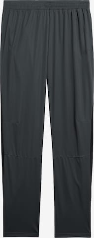 4F - regular Pantalón deportivo en gris: frente