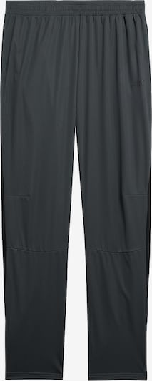 Pantaloni sport 4F pe gri metalic / verde, Vizualizare produs