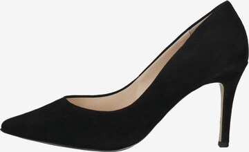 Högl Pumps 'BOULEVARD 70' in Black