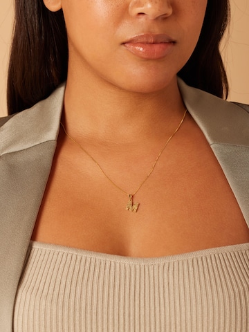 Lucardi Hangers 'Klassisch' in Goud: voorkant