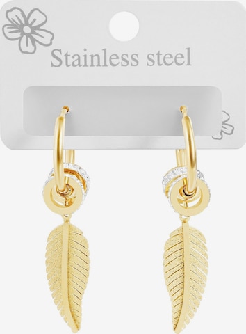 Akzent Earrings 'Jazz, hautverträglich' in Gold: front