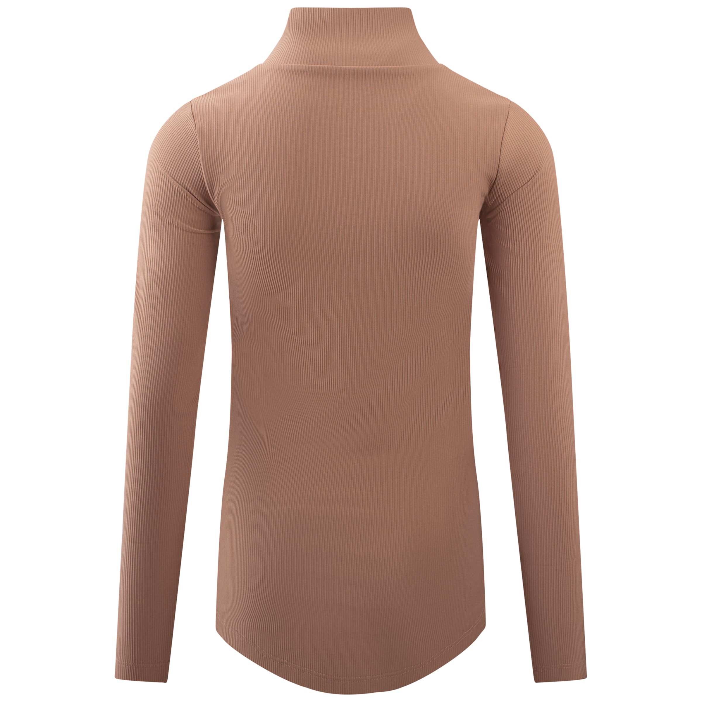 Eivy Performance shirt 'Journey' in Brown