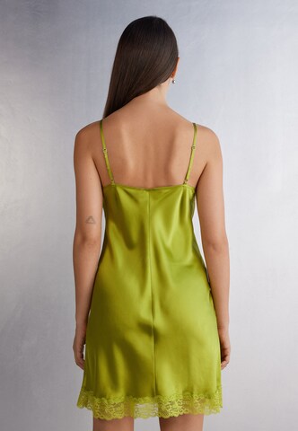 INTIMISSIMI Negligee in Green