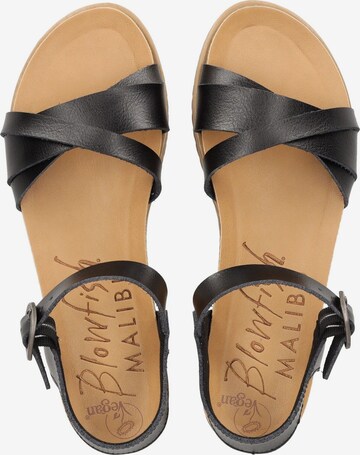 Blowfish Malibu Strap Sandals in Black